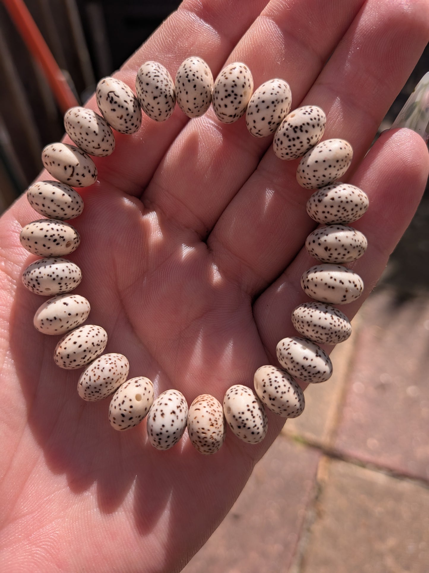 Dragon Fruit Pulp Bracelet
